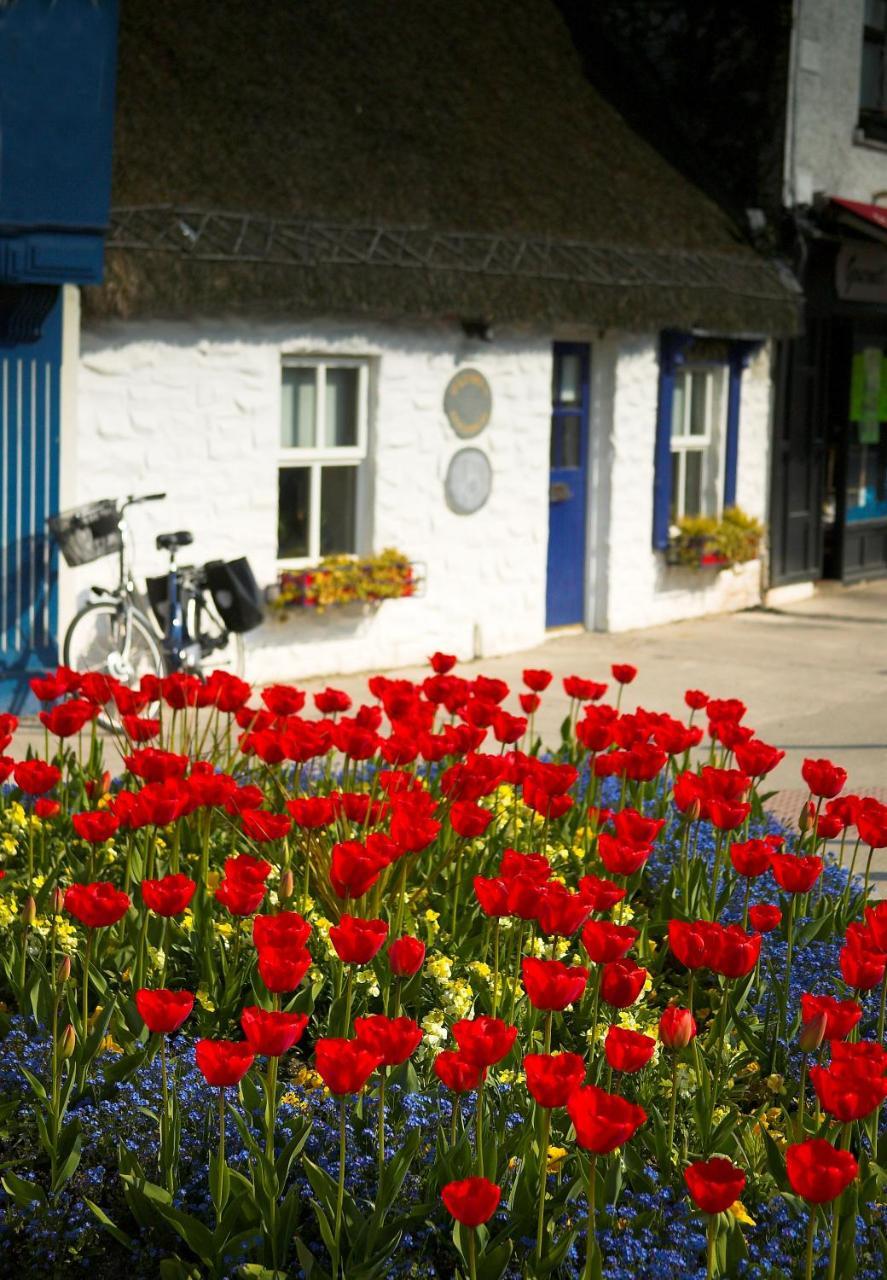 The Redbank Guesthouse 斯凯里斯 外观 照片